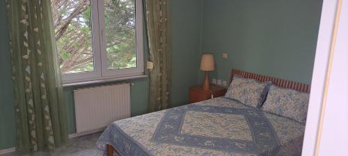 亚历山德鲁波利斯Hill View 4的一间卧室设有一张床和两个窗户。