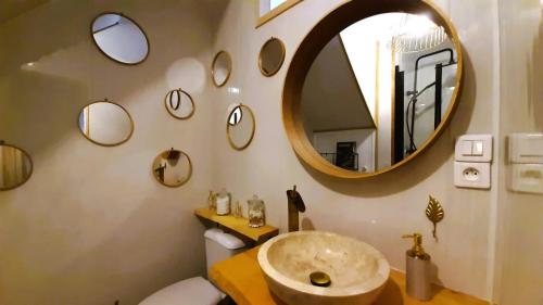 AiguilheLe Georges的浴室设有水槽和墙上的镜子