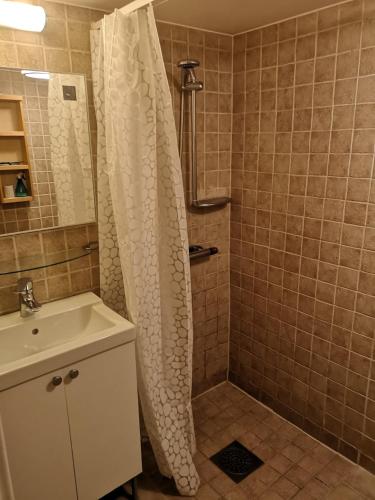 延雪平Trevligt källare lägenhet的浴室配有淋浴帘和盥洗盆。