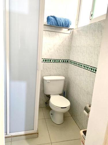 乌鲁阿潘Bungamvilias Apartment的一间带卫生间和淋浴的小浴室