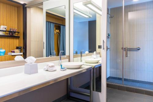 列克星敦莱克星顿雅乐轩酒店的一间带两个盥洗盆和淋浴的浴室