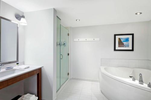 蒙克顿蒙克顿福朋喜来登酒店的带浴缸、水槽和淋浴的浴室