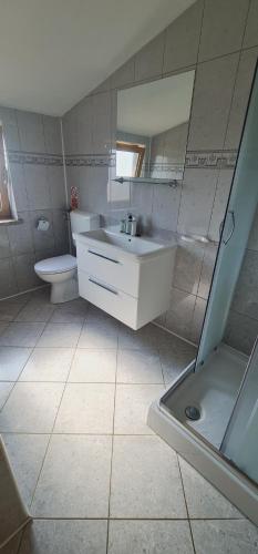 GedićiGimy Villa&App 1 Porec的一间带水槽、卫生间和淋浴的浴室