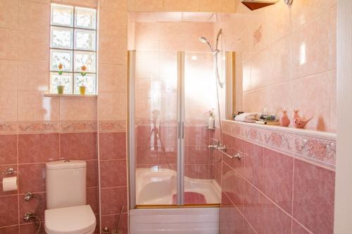 UlucakSpacious Detached House with Garden in Izmir的带淋浴和卫生间的浴室。