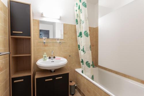 圣雷热雷梅累兹Les Arolles - Appartement vue sur la montagne的一间带水槽和镜子的浴室