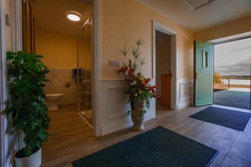 BallylongfordCarrig Island Lodge的浴室的走廊上设有花瓶