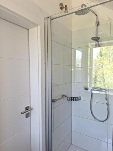 罗埃特根Ferienhaus Altes Backhaus的带淋浴的浴室和玻璃门