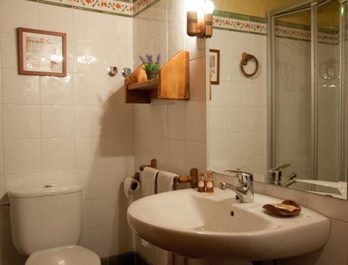艾里拉瓦尔希斯奇特公寓的一间带水槽、卫生间和镜子的浴室