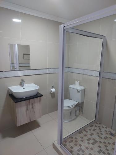 谢普斯敦港Bayside Taj Hotel的一间带卫生间、水槽和镜子的浴室
