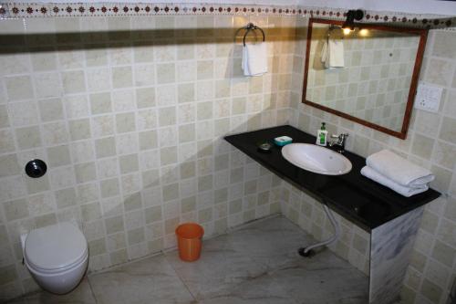 珀勒德布尔Royal Farm Bharatpur的一间带水槽、卫生间和镜子的浴室