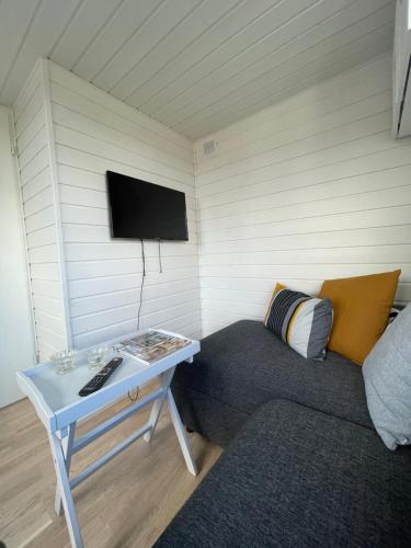 乌尔里瑟港Lyckan - Minihus i lantlig miljö的一间配备有沙发及一张桌子及电视的客房
