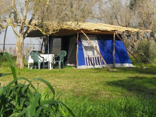 库特罗菲安诺Camping Terreno-Ro-Bi-Li的庭院内带桌椅的帐篷