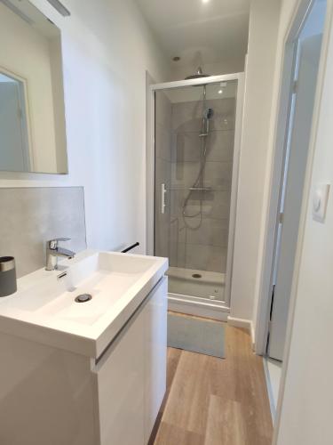 瓦朗西纳Résidence Jehan Froissart的浴室配有白色水槽和淋浴。