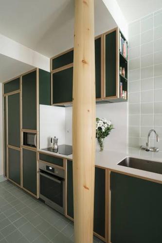 PanaboJoy Transient House的厨房配有绿色橱柜和水槽