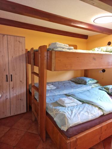 戈雷尼斯卡地区采尔克列Apartments Relax Jezerca的一间卧室配有两张双层床。