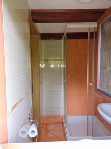 戈雷尼斯卡地区采尔克列Apartments Relax Jezerca的带淋浴和盥洗盆的浴室