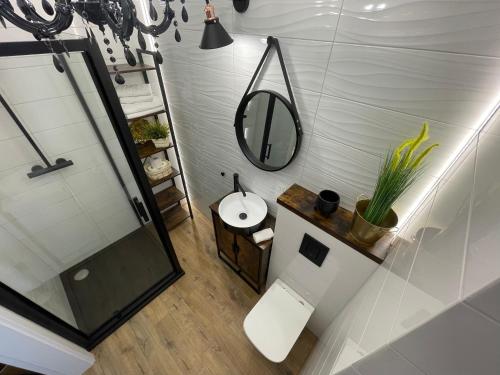 奥莱茨科Apartament 32 NOWA WIEJSKA Olecko Mazury Garbate的一间带水槽和镜子的浴室
