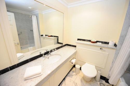 瓦特维尔巴特勒阿姆斯酒店的一间带卫生间、水槽和镜子的浴室