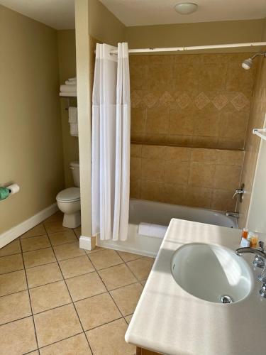 巴克斯顿哈特拉斯汽车旅馆的一间带水槽、卫生间和淋浴的浴室