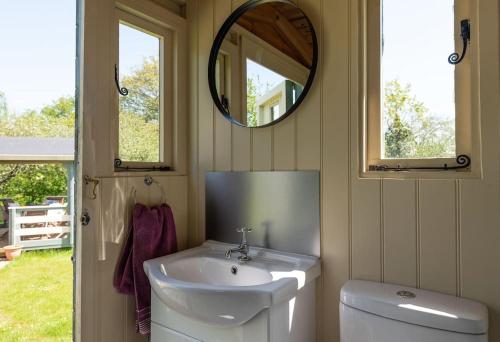 博德明Safari Cornwall的一间带水槽、卫生间和镜子的浴室