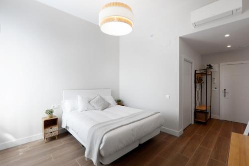 穆特里库Mendi Azpi Rooms的白色卧室设有白色的床和木地板