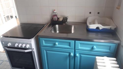 拉罗谢尔Maison de vacances familiale的厨房配有蓝色橱柜和水槽