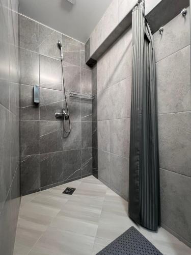 日托米尔Хостел Житомир GREEN HOUSE的带淋浴和浴帘的浴室
