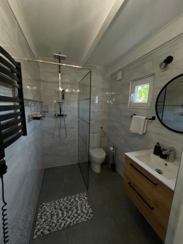 扎托尔Soft Wood House的带淋浴、卫生间和盥洗盆的浴室