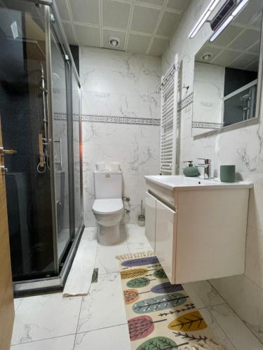 斯科普里Skopje Station Apartment的浴室配有卫生间、盥洗盆和淋浴。