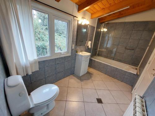拉安戈斯图拉镇Cabaña Los Amancays的浴室配有卫生间、盥洗盆和淋浴。