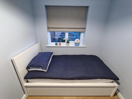 特伦特河畔斯托克Joshua Court Single Room的一张带蓝色毯子和窗户的床
