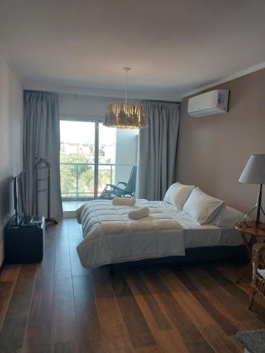 巴拉那MONOAMBIENTE - Parana TU CASA的一间卧室配有一张大床和一个吊灯。