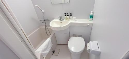饭田市World Business Hotel的一间带卫生间和水槽的小浴室