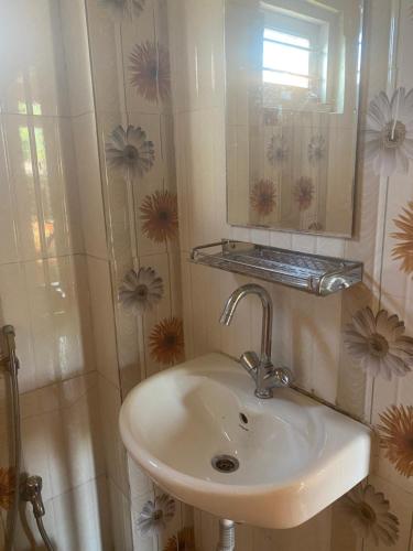 KāskīKB'S ECO MOUNTAIN VILLAGE HOME的一间带水槽和镜子的浴室