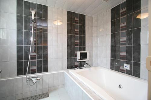 TochigiHOTEL TEX的带浴缸的浴室和电视。