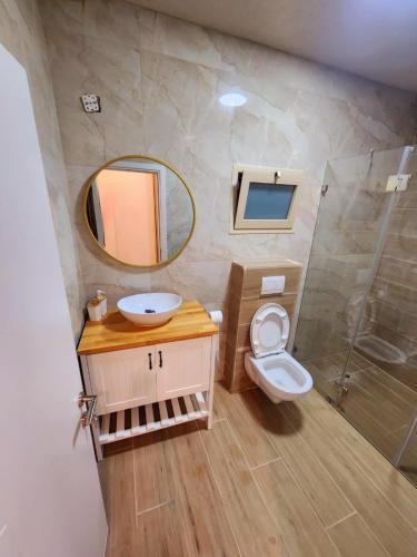 萨法德לנפוש בצפת的一间带水槽、卫生间和镜子的浴室