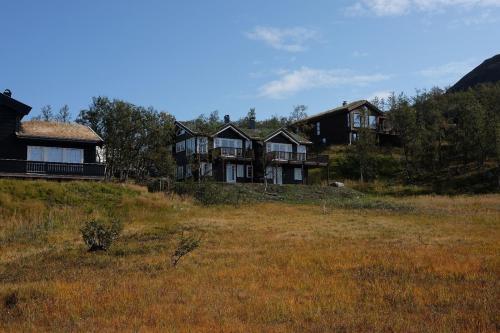 TyinkryssetNew, Mountain paradise, fishing, biking, mountaineering的田野上山丘上的大型房屋