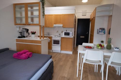 科特卡Araucarias apartment的一间小公寓,设有厨房和饭厅