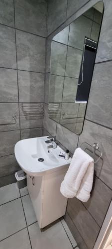 布隆方丹班斯山林小屋的一间带水槽和镜子的浴室
