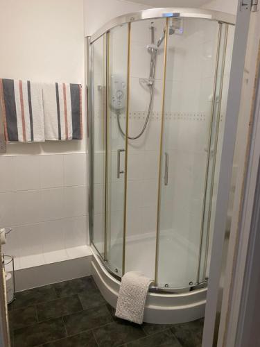 巴洛赫Argyll Apartment Loch Lomond的浴室里设有玻璃门淋浴