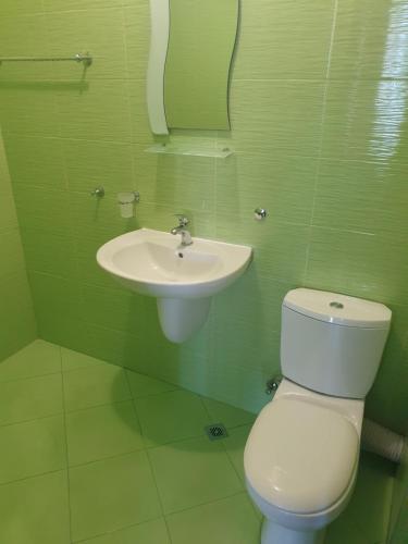 普里莫尔斯科Стаи за гости Мистрал的一间带卫生间和水槽的浴室