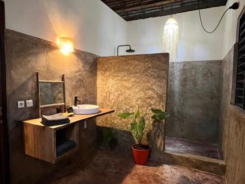 AmbaroNatShi Lodge的一间带水槽和淋浴的浴室