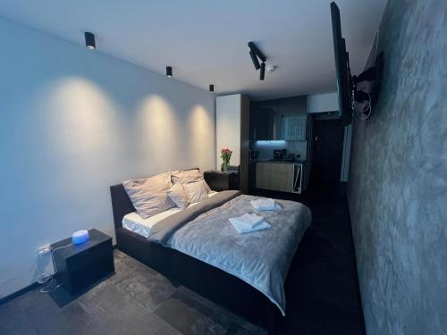 乌斯特龙Apartament Ustroń的一间卧室配有一张床和一个小厨房