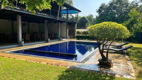 波隆纳鲁沃Honey Tree Polonnaruwa的院子里有树的游泳池