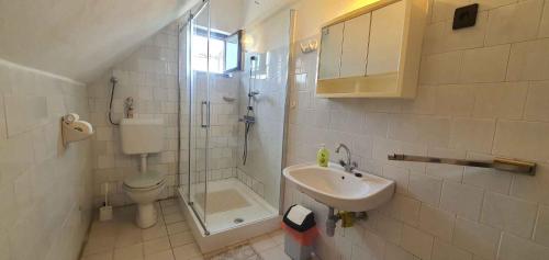 鲍洛通拜雷尼Apartment in Balatonbereny 35891的一间带水槽、淋浴和卫生间的浴室