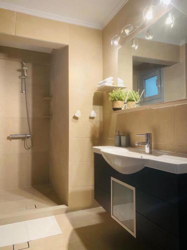 雅典Konstantine suite byArtistUnknown的一间带水槽和淋浴的浴室