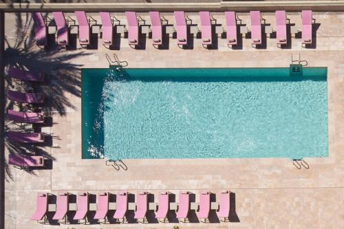 帕尔马海滩加伦达纯盐酒店 - 仅限成人的享有游泳池的顶部景致,设有粉红色火烈鸟