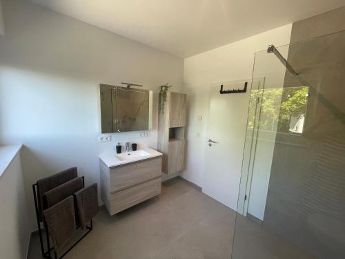 欧本Casa 47的一间带水槽和玻璃淋浴的浴室