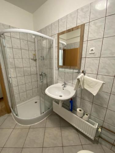 科济纳PENZION FARAON - CASINO ALFASTREET的带淋浴、盥洗盆和镜子的浴室