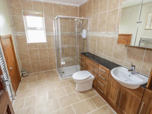 博伊尔Ballaghboy Cottage的浴室配有卫生间、盥洗盆和淋浴。